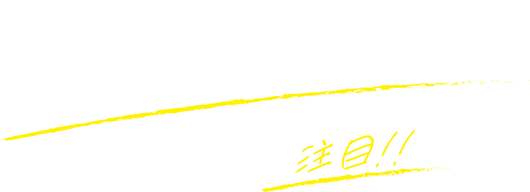 特選車