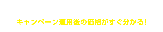 気になる車種の金額をチェック!キャンペーン適用後の価格がすぐ分かる!