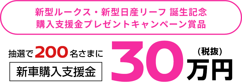 新型ルークス・新型日産リーフ 誕生記念 購入支援金プレゼントキャンペーン賞品 抽選で200名さまに新車購入支援金30万円(税抜)