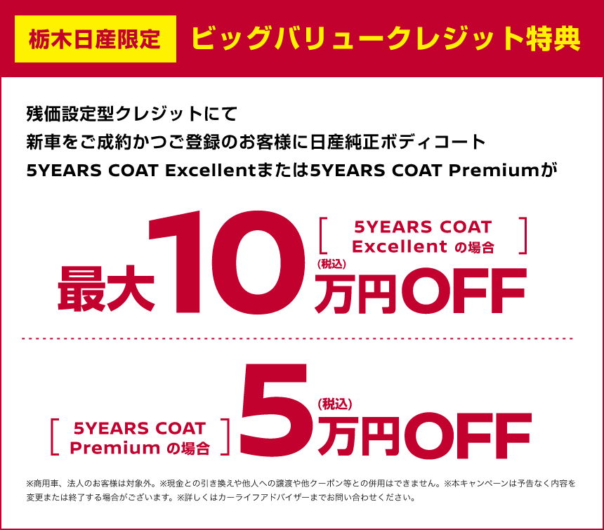 栃木日産限定 ビッグバリュークレジット特典