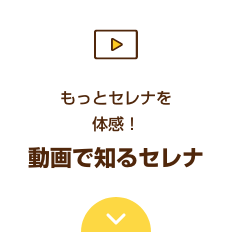 もっとセレナを体感！動画で知るセレナ