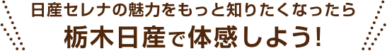 日産セレナの魅力をもっと知りたくなったら栃木日産で体感しよう!