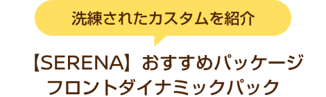 洗練されたカスタムを紹介 【SERENA】おすすめパッケージ フロントダイナミックパック