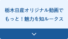 栃木日産オリジナル動画でもっと！魅力を知ルークス