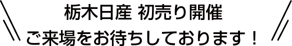栃木日産 初売り開催 ご来場をお待ちしております！