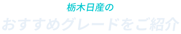 栃木日産のおすすめグレードをご紹介