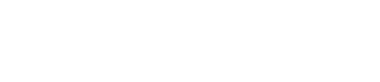 ディーラーオプション