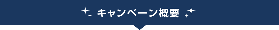 キャンペーン概要