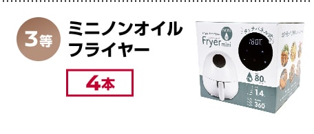 3等 ミニノンオイルフライヤー 4本