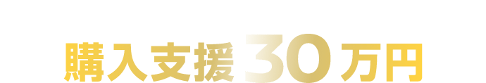 キャンペーン概要 購入支援30万円