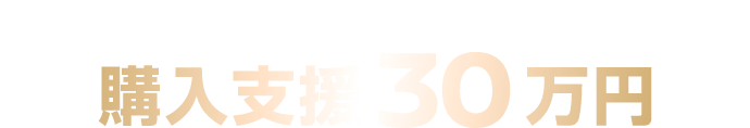 キャンペーン概要 購入支援30万円