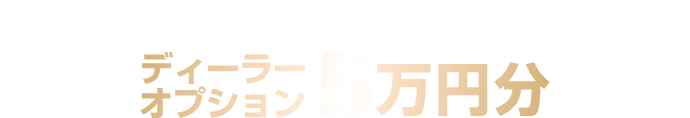 山口日産限定の特典概要 ディーラーオプション5万円分
