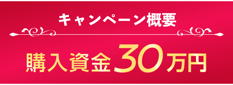 キャンペーン概要 購入資金30万円
