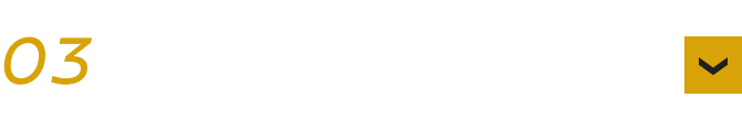03 バリエーション