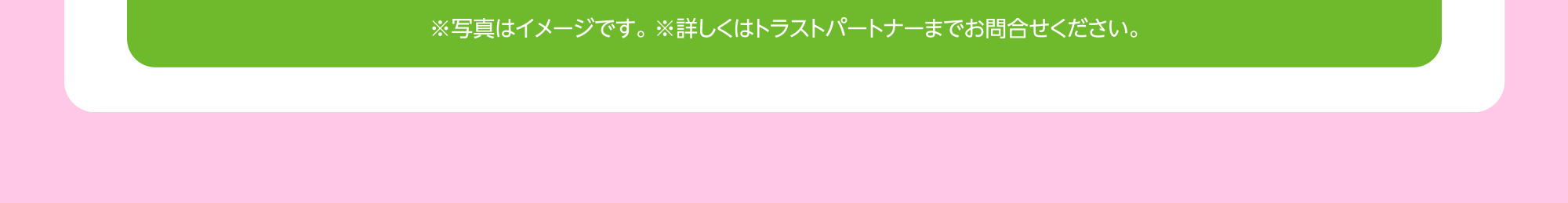 ※写真はイメージです。 ※詳しくはトラストパートナーまでお問合せください。