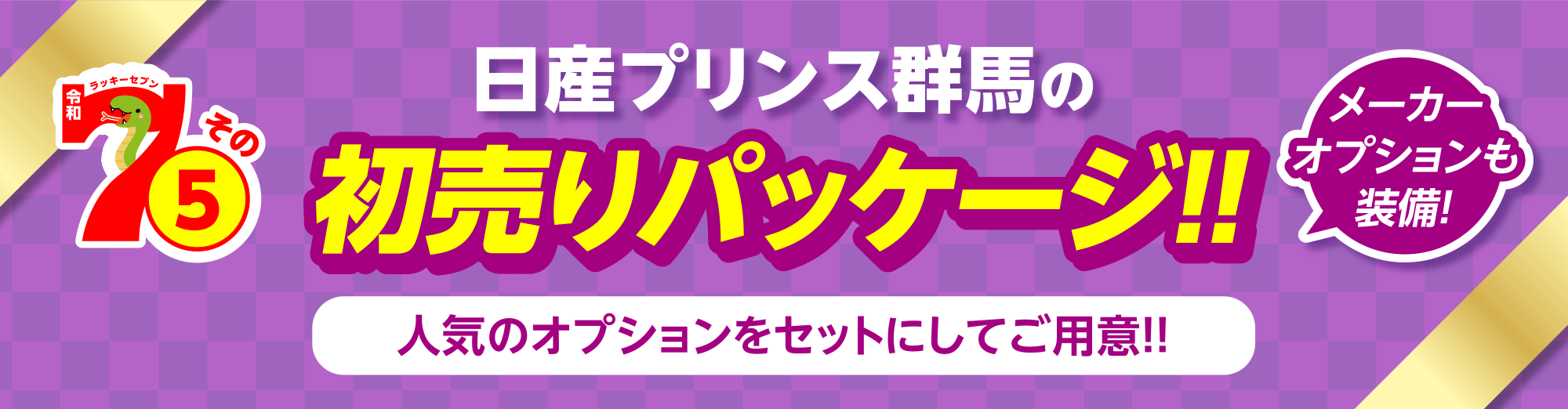 日産プリンス群馬の初売りパッケージ！！人気のオプションをセットにしてご用意！！