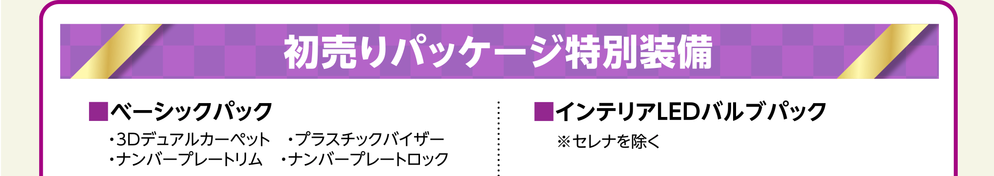 初売りパッケージ特別装備■ベーシックパック■インテリアLEDバルブパック