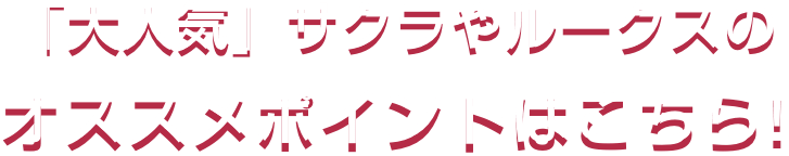 「大人気」サクラやルークスのオススメポイントはこちら!