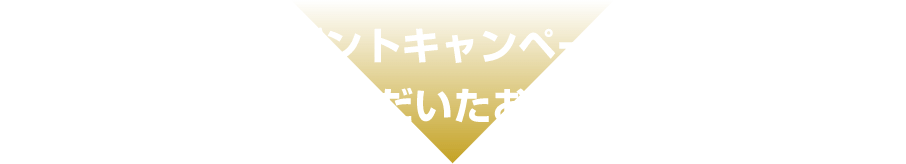 購入支援金プレゼントキャンペーンにご応募かつ、ご試乗いただいたお客さま限定