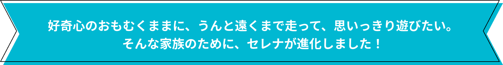 好奇心のおもむくままに、うんと遠くまで走って、思いっきり遊びたい。そんな家族のために、セレナが進化しました！