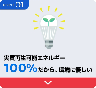 POINT 01 実質再生可能エネルギー100%だから、環境に優しい