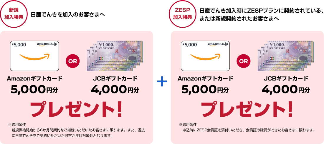 Amazonギフトカード5,000円分ORJCBギフトカード4,000円分プレゼント+Amazonギフトカード5,000円分ORJCBギフトカード4,000円分プレゼント