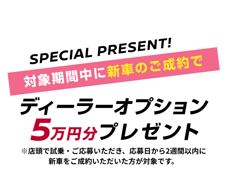 SPECIAL PRESENT! 対象期間中に新車のご成約でディーラーオプション5万円分プレゼント ※店頭で試乗・ご応募いただき、応募日から2週間以内に新車をご成約いただいた方が対象です。