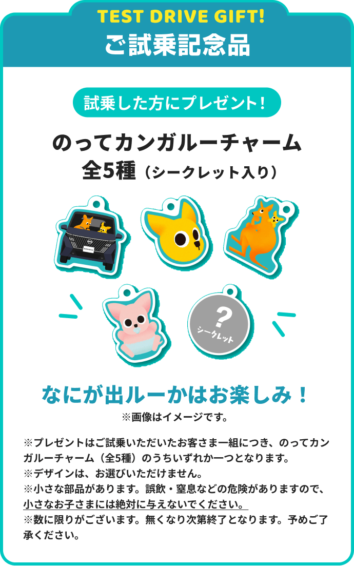 ご試乗記念品