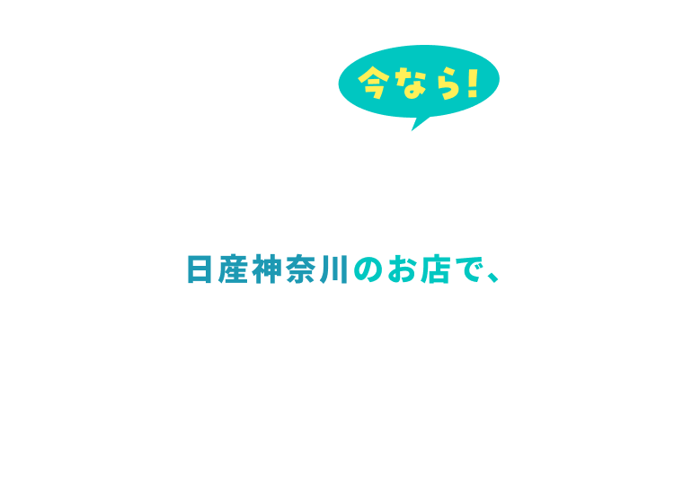 今なら！うれしいキャンペーンがいっぱい！日産神奈川のお店で、見れルー、知れルー、乗れルー