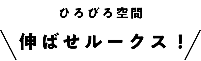ひろびろ空間伸ばせルークス