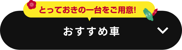 おすすめ車
