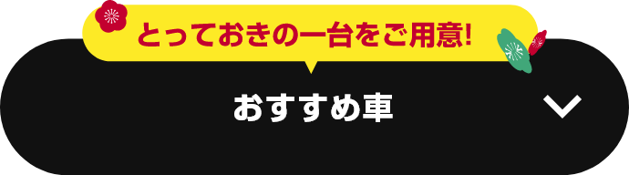 おすすめ車