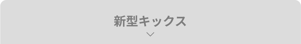 新型キックス