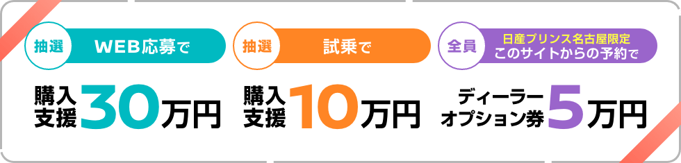 [抽選]WEB応募で購入支援30万円 [抽選]試乗で購入支援10万円 [全員]日産プリンス名古屋限定 このサイトからの予約でディーラーオプション券5万円