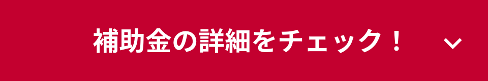 補助金の詳細をチェック！