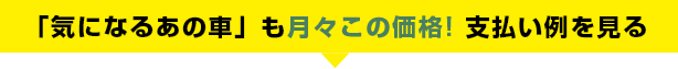 「気になるあの車」も月々この価格! 支払い例を見る
