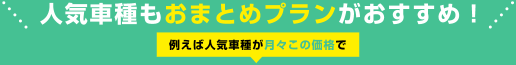 人気車種もおまとめプランがおすすめ！