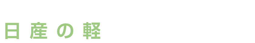 あなたにぴったりの「軽」がきっと見つかる 日産の軽のココが良い!