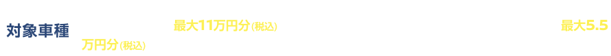 [対象車種]日産アリア、日産リーフ、セレナ、ノート、オーラ、エクストレイル(マイナーチェンジ前車)、キックスは最大11万円分(税込)、日産サクラ、デイズ、ルークス(新型車は除く)は最大5.5万円分(税込)のディーラーオプションプレゼントとなります。