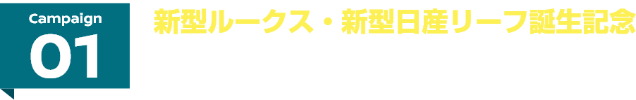Campaign01 新型ルークス・新型日産リーフ誕生記念 購入支援金が当たる！プレゼントキャンペーン