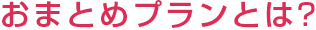 おまとめプランとは?