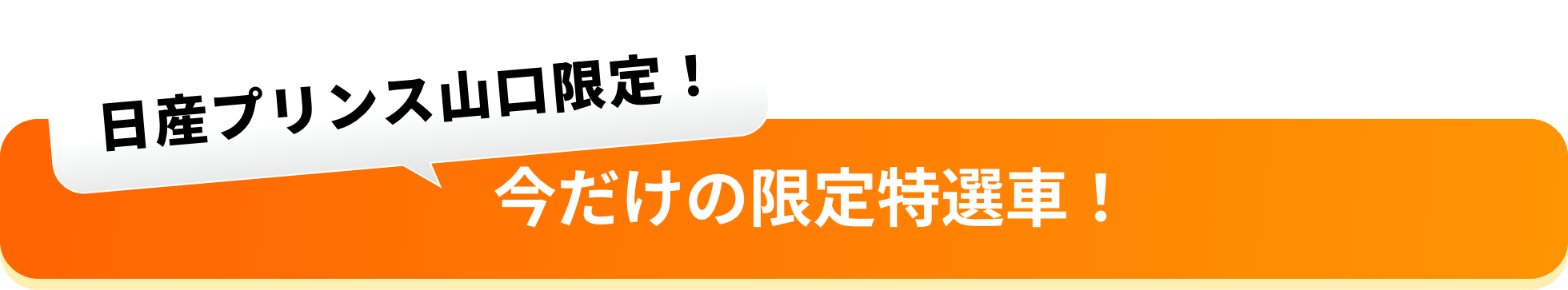 今だけの限定特選車！