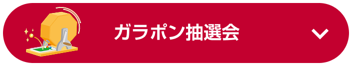 ガラポン抽選会