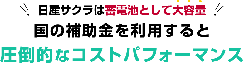 国の補助金を利用すると 圧倒的なコストパフォーマンス