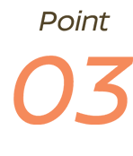 Point 03