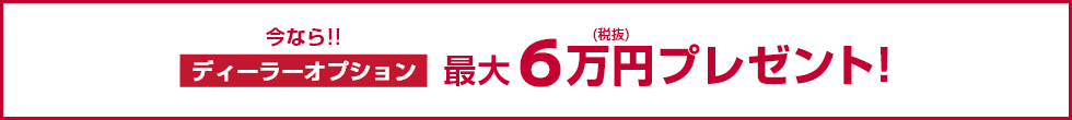 今なら!!ディーラーオプション最大6万円(税抜)プレゼント!