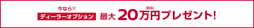 今なら!!ディーラーオプション最大20万円(税抜)プレゼント!