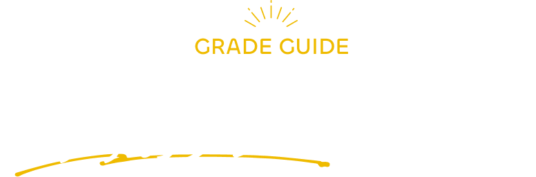 日産サティオ群馬のおすすめグレードをご紹介