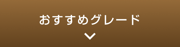 おすすめグレード
