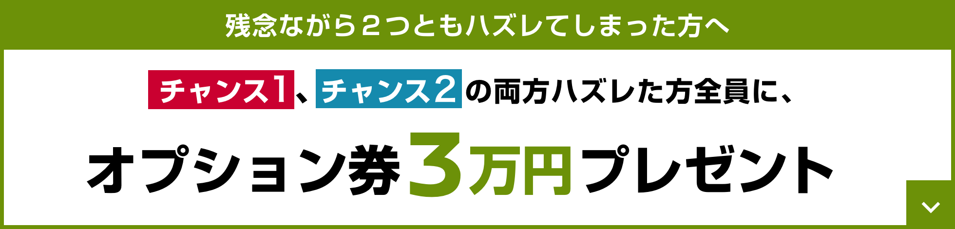 残念ながら2つともハズレてしまった方へ オプション券3万円プレゼント